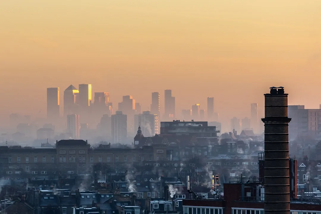 Networking Through Crisis: How Air Pollution Professionals Build Impactful Connections