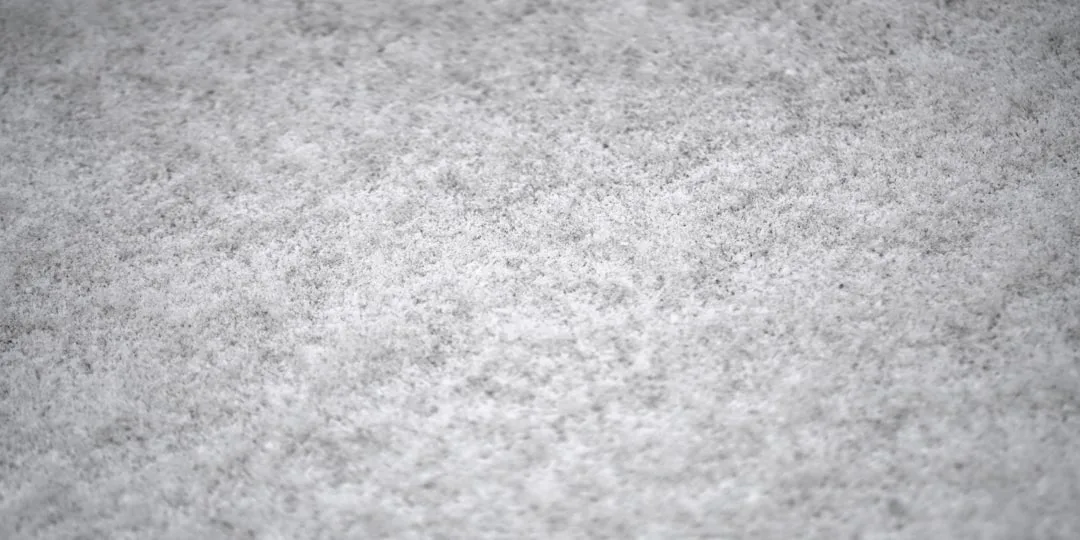 The Beginner’s Guide to Carpet Cleaning: Busting Myths and Mastering Methods