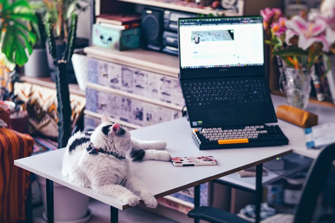 Contract vs Full-Time in General Accounting: What’s Best for Your Career?