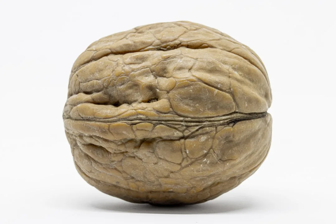 Structured vs Unstructured Learning in Neuromarketing: Which Approach Drives Real Mastery?
