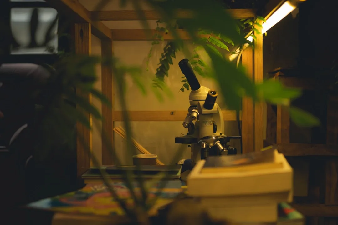 Why Research and Development Is Booming—And How You Can Break Into It